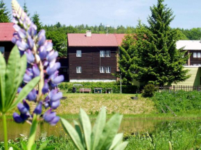 Apartments in Jachymov/Erzgebirge 34829